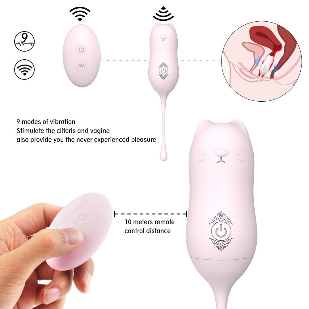 Vaginal Remote Control weights Balls  Vibrator