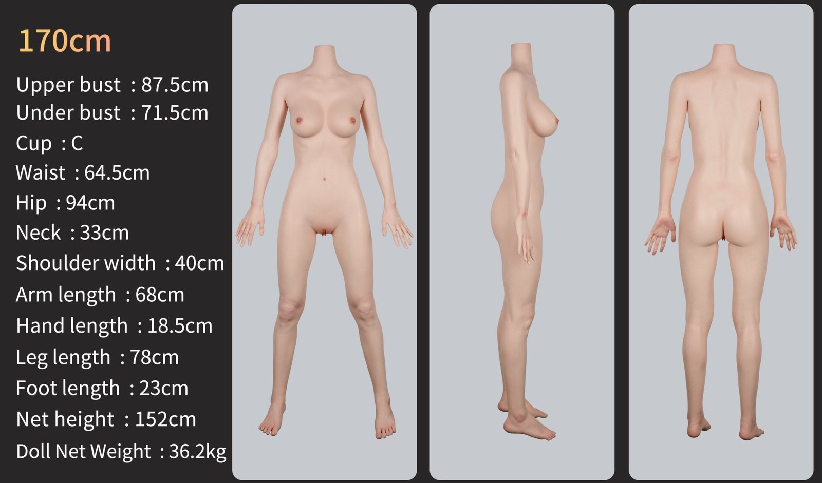 Cora 170cm - GE45 / 5ft8 C-Cup - Zelex doll